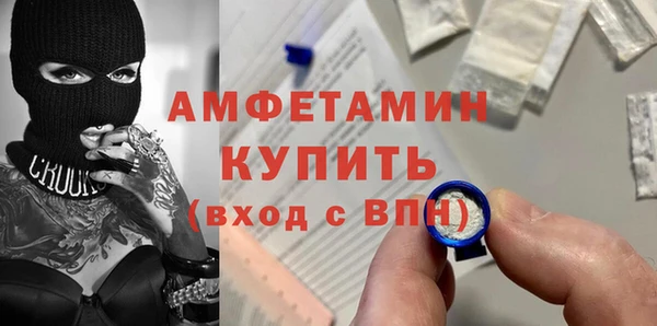 индика Балабаново