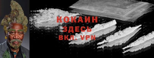 МДПВ Протвино