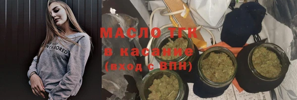 индика Балабаново