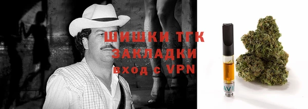 индика Балабаново