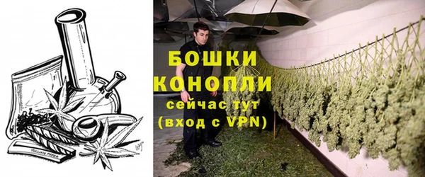 индика Балабаново