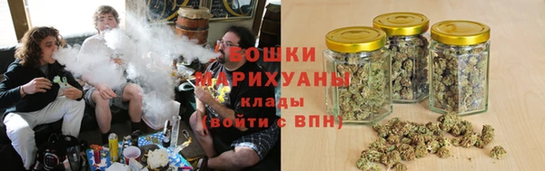 индика Балабаново