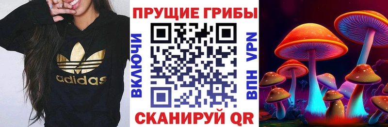 Псилоцибиновые грибы ЛСД  ссылка на мегу ссылки  Ивдель 